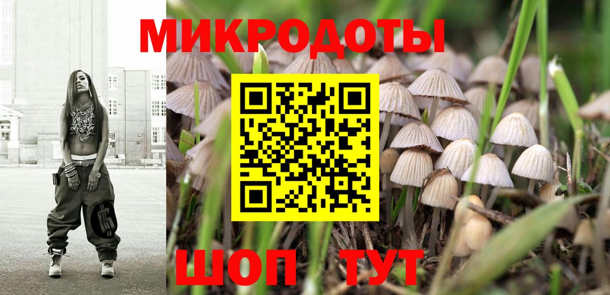 Советск  Галлюциногенные грибы Psilocybe  как найти наркотики  Вход с VPN 